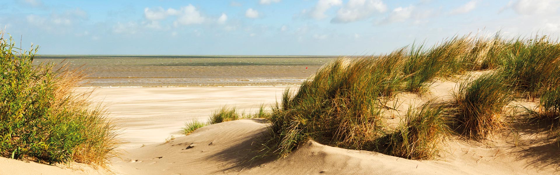 reiselust.pur - Ihr pers. Reiseveranstalter aus Radebeul