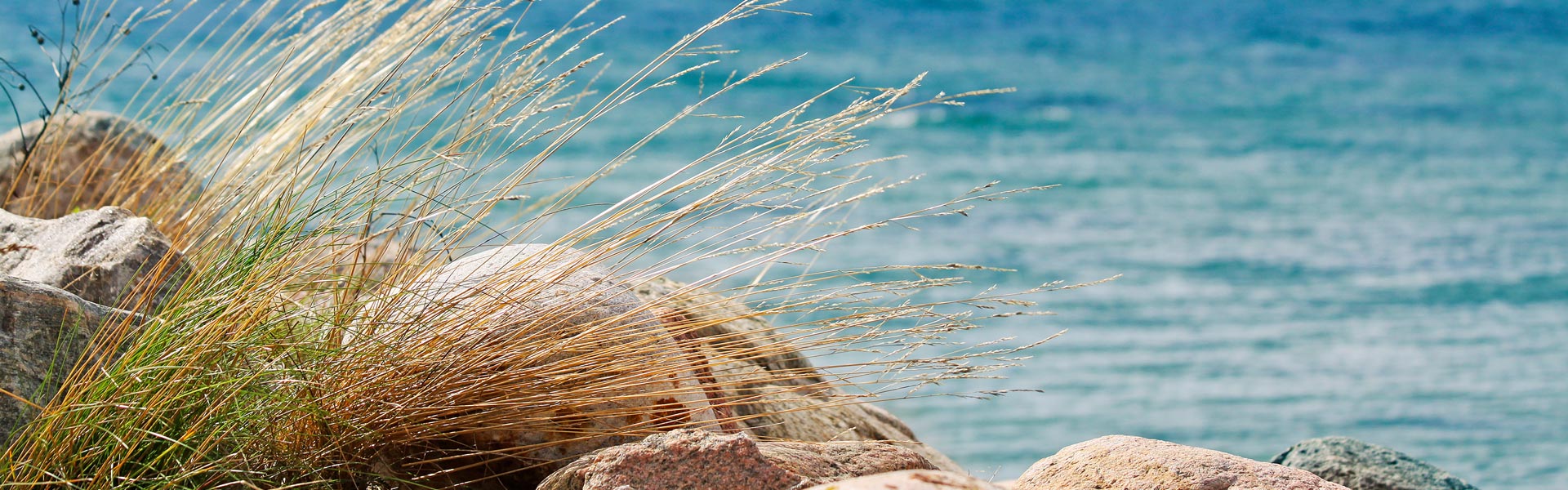 reiselust.pur - Ihr pers. Reiseveranstalter aus Radebeul