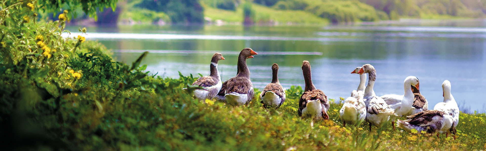reiselust.pur - Ihr pers. Reiseveranstalter aus Radebeul