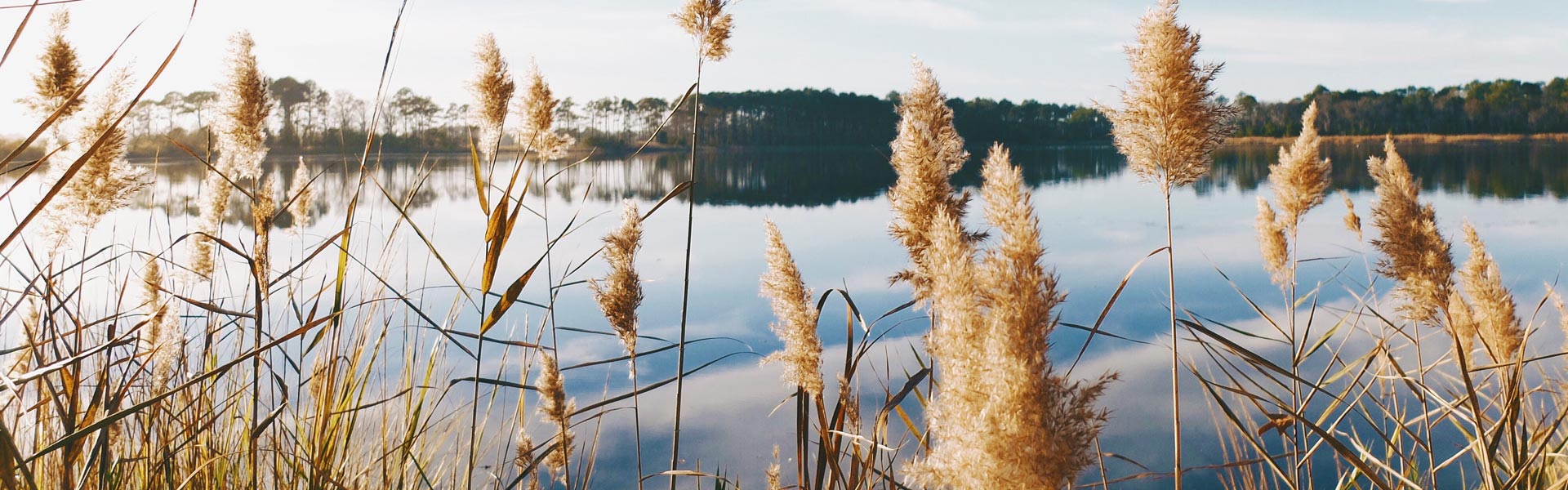 reiselust.pur - Ihr pers. Reiseveranstalter aus Radebeul