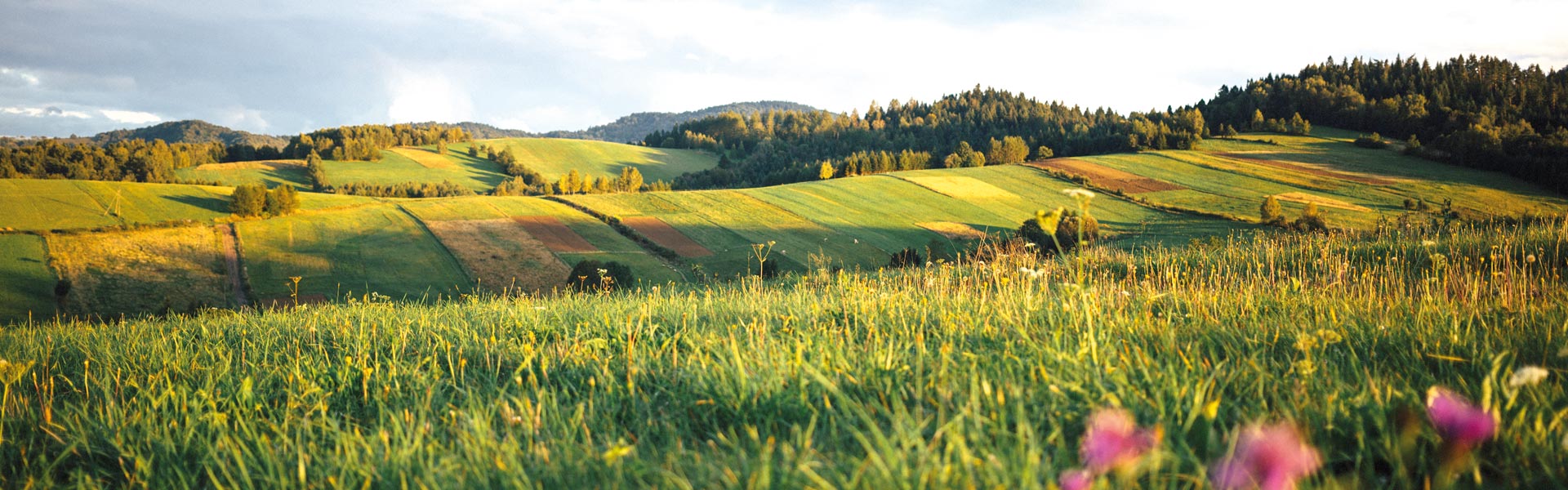 reiselust.pur - Ihr pers. Reiseveranstalter aus Radebeul